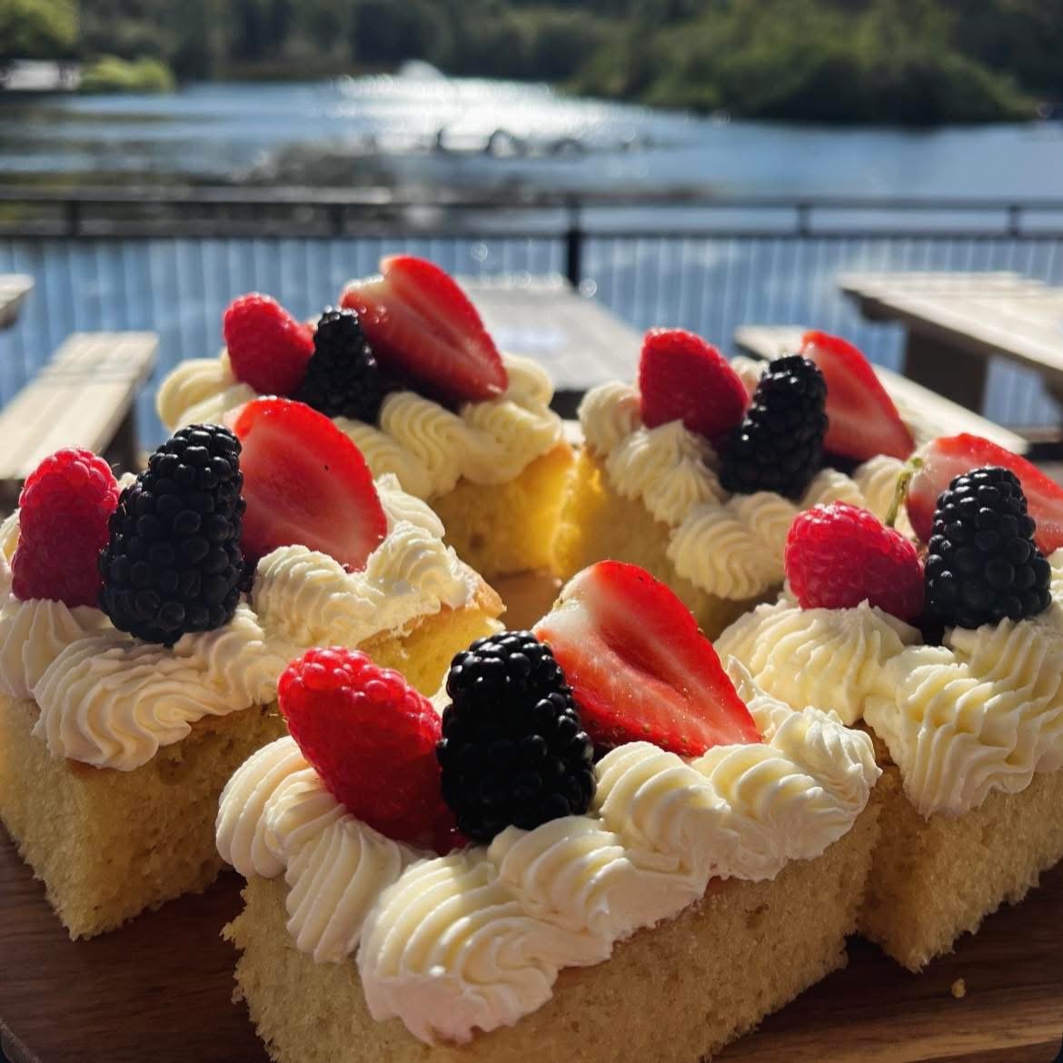 Berry sponge cake bars with the lake visible behind
