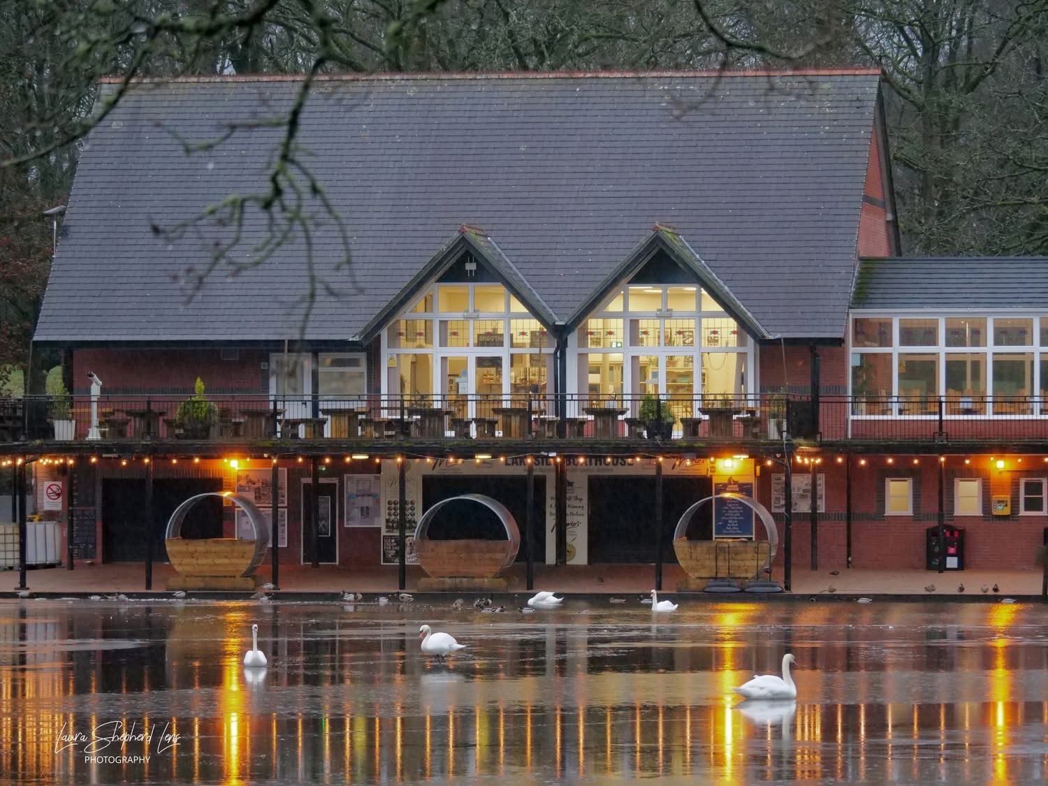 The cafe building lit up at dusk with swans on the lake